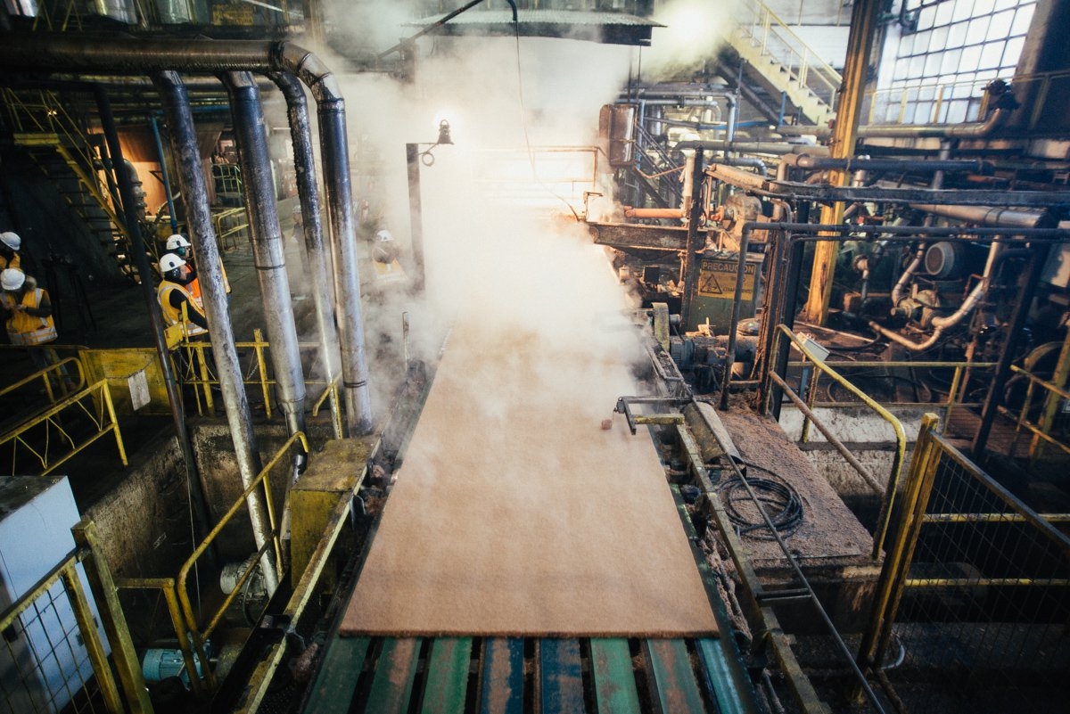 Tableros de Cholguan