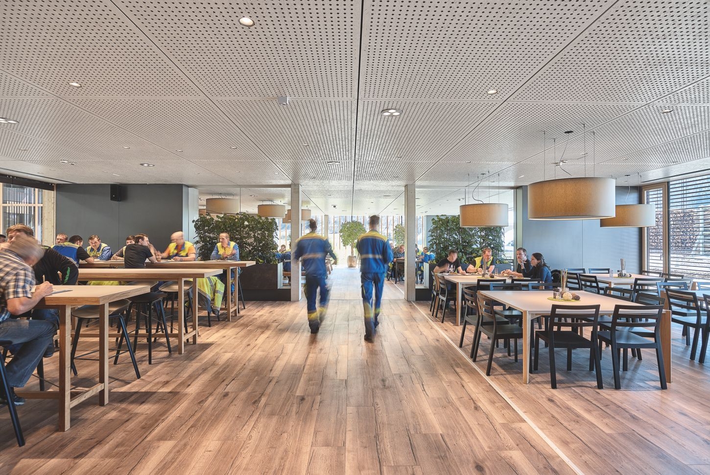 Wood-based materials in EGGER Headquarters