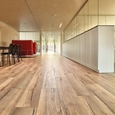 Wood-based materials in EGGER Headquarters