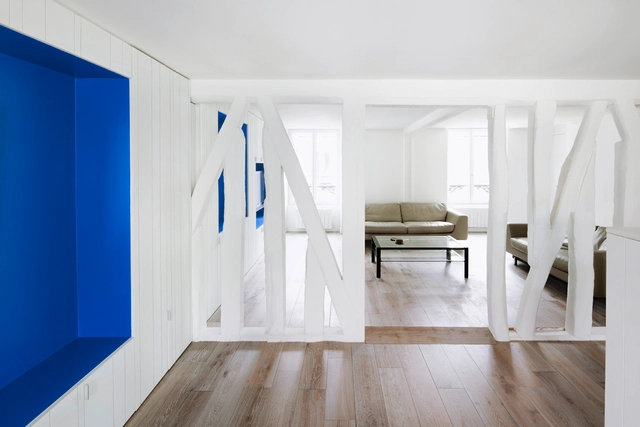 Refurbishment of a Paris Apartment / SWAN Architectes - 公寓室内