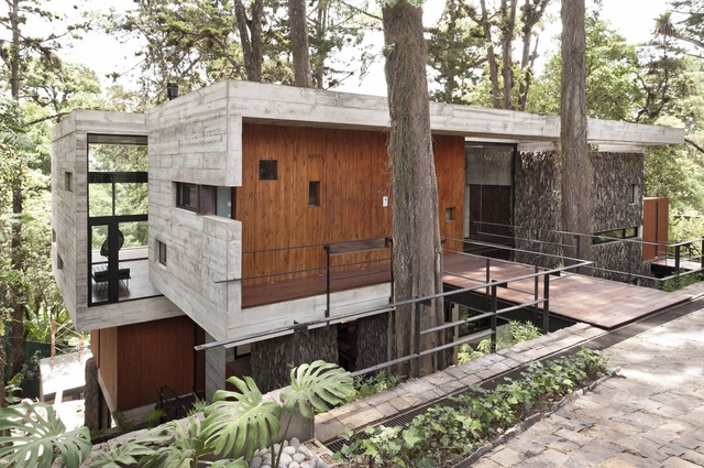 Corallo House / PAZ Arquitectura - Houses, Garden, Facade, Beam, Forest