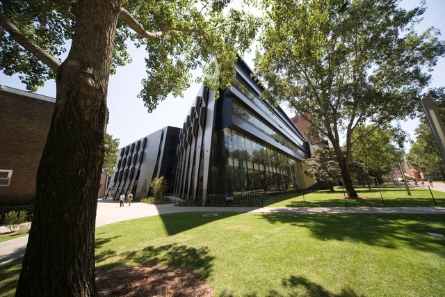 University of New South Wales Law Building / Lyons - 大学
