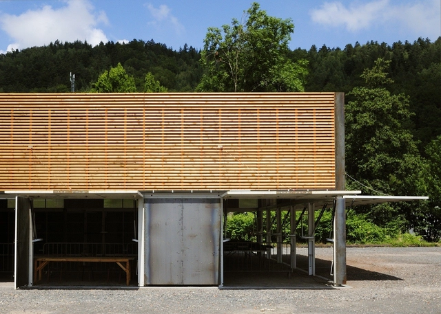 Robin 体育中心 / AP5 Architects - 娱乐训练场馆
