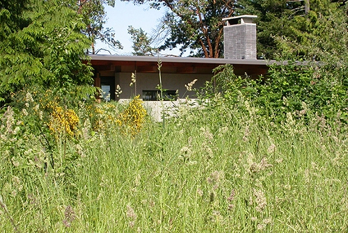 Island House / D'Arcy Jones - Houses, Garden, Forest