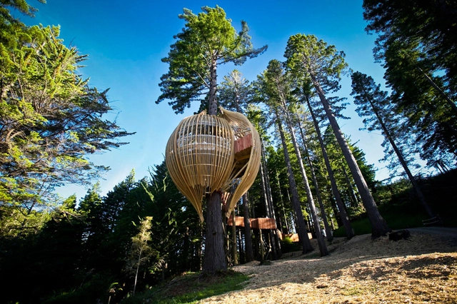 Restaurante Yellow Treehouse / Pacific Environments - Restaurant