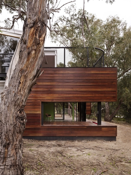 Anglesea House / Austin Maynard Architects - Houses