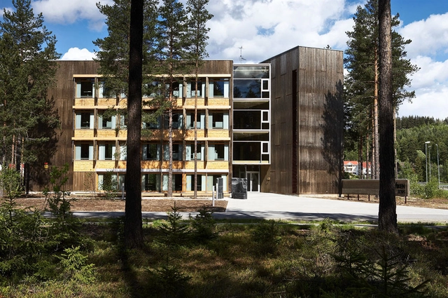 Viken Skog Headquarter / Stein Halvorsen Arkitekter - Office Buildings, Facade