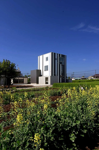 Overlapping Ears Of Rice / StudioGreenBlue - Houses, Garden, Facade