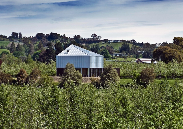 Mckenzie住宅 / Atelier Workshop - 独立住宅