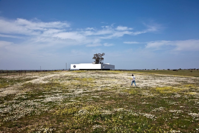 NA住宅 / Ventura Trindade Architects - 科学中心