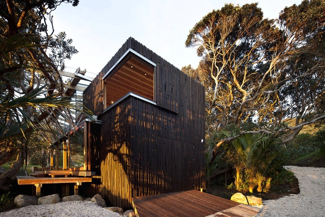 Under Pohutukawa / Herbst Architects - 独立住宅