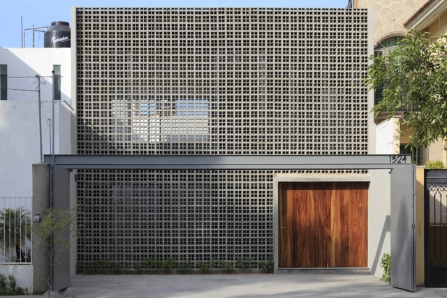 House in Jalisco / Alfonso Farias Iglesias - 独立住宅