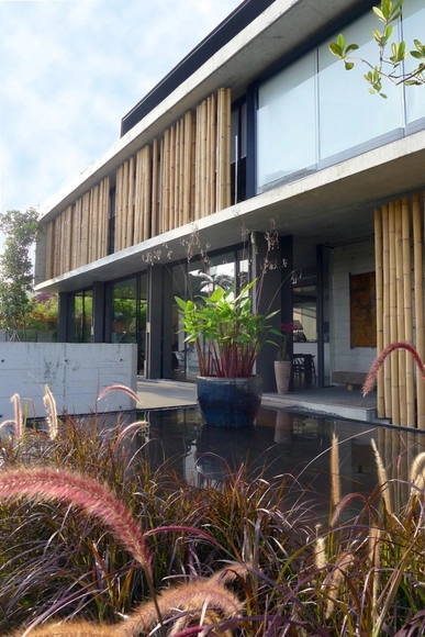 The Bamboo Curtain House / Eco-id Architects - Houses, Garden, Facade, Chair