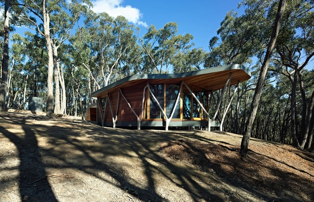 主干住宅 / Paul Morgan Architects - 独立住宅
