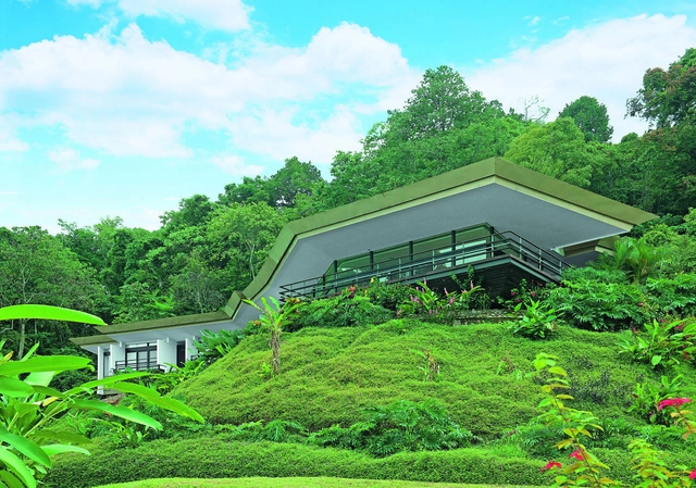 KGN Residence / Carazo Architects - Houses, Garden, Facade, Forest