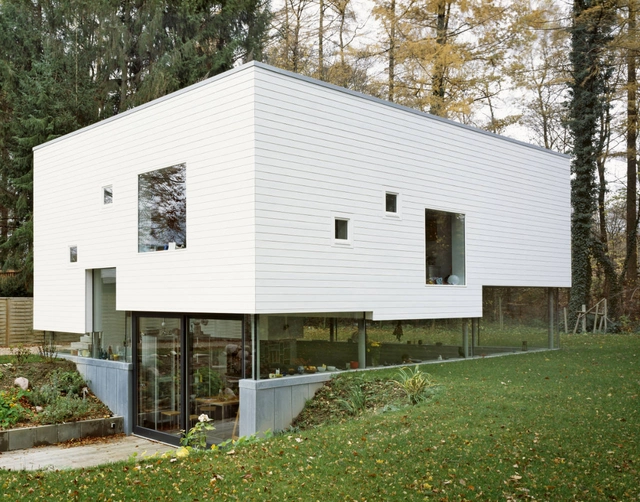 山楂住宅 W / Kraus Schoenberg Architects - 独立住宅