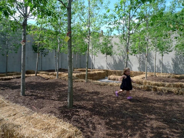 Holding Pattern, P.S.1 2011 Installation / Interboro Partners - Installation, Garden, Forest