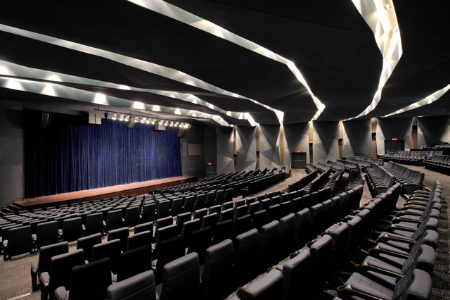 Chettinad Health City Auditorium / Morphogenesis - Auditorium, Chair