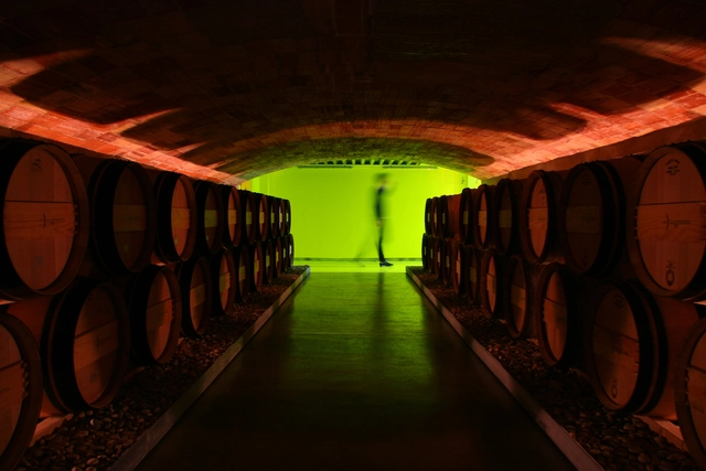 Lagravera / SALA FERUSIC Architects - Winery