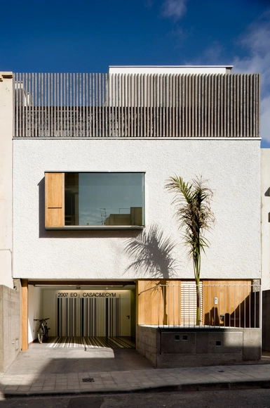 C&E住宅 / Equipo Olivares Arquitectos - 住宅
