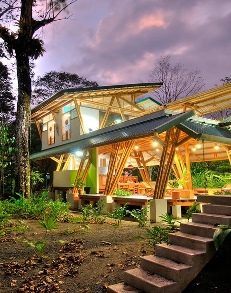 Casa Atrevida / Luz de Piedra Arquitectos - Casas, Jardín, Escaleras, Fachada, Bosque