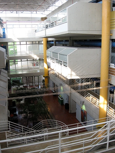 AD College Guide: University of Tennessee Knoxville  - Featured Image