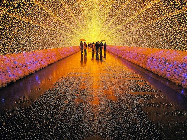 Espetáculo de milhões de luzes LED transformam um jardim botânico japonês em um paraíso invernal  - Iluminação