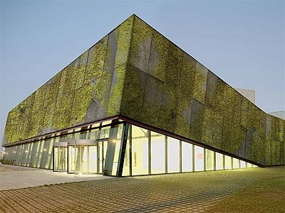 Concreto biológico para muros verdes - Imagem de Destaque