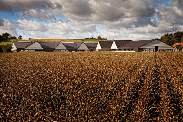 Establos Vejlskovgaard / LUMO Architects - Establo