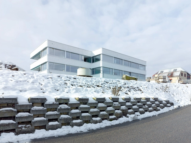 Housing in Nyon / Charles Pictet Architecte - Apartments, Facade