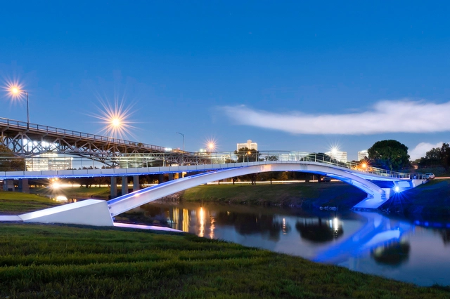 Phyllis J. Tilley Memorial Bridge / Rosales + Partners Architects - Pedestrian Bridge, Cityscape