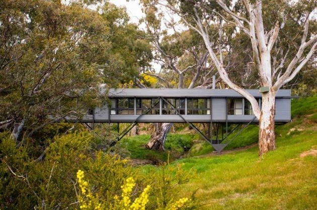 Bridge House / Max Pritchard Architect - Casas