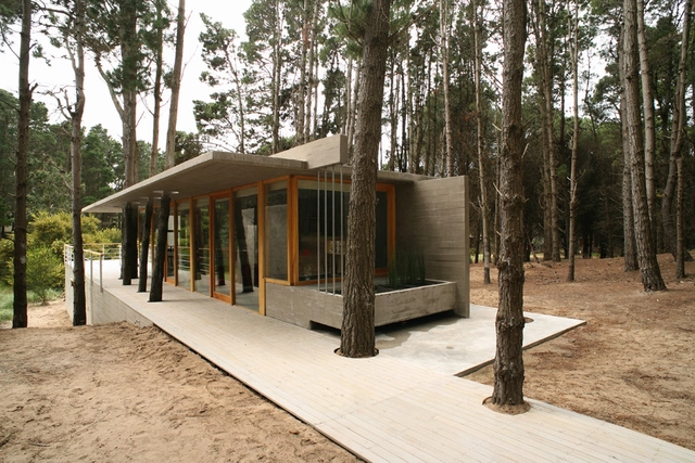 Casa Entre Arboles / Martín Fernández de Lema, Nicolás Moreno Deutsch - Casas, Fachada, Bosque