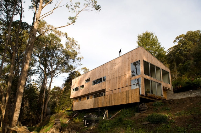 Casa Silva Hindmarch / Dock4 Architecture - Casas, Fachada, Bosque