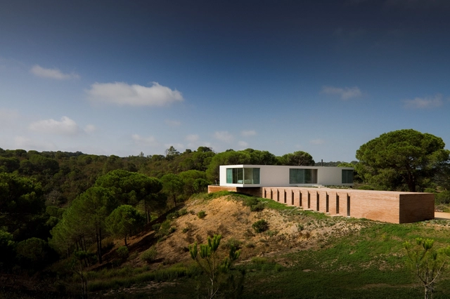Casa en Melides / Pedro Reis - Casas, Fachada