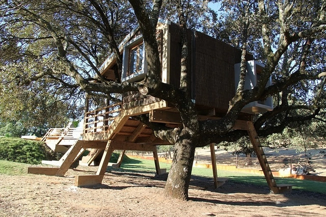 Casa en el árbol enraizada / Urbanarbolismo - Casas, Bosque