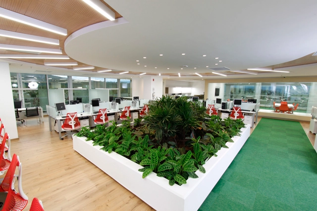 Oficinas Fundación de la Mujer / SDH Arquitectos - Iluminacion, Iluminación, Mesas, Sillas