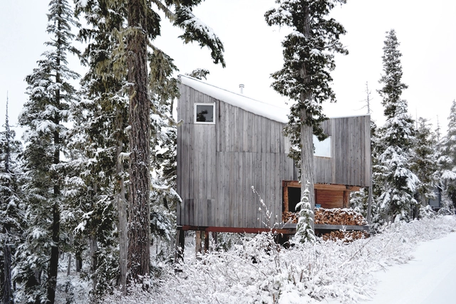 Alpine Cabin / Scott & Scott Architects - Houses