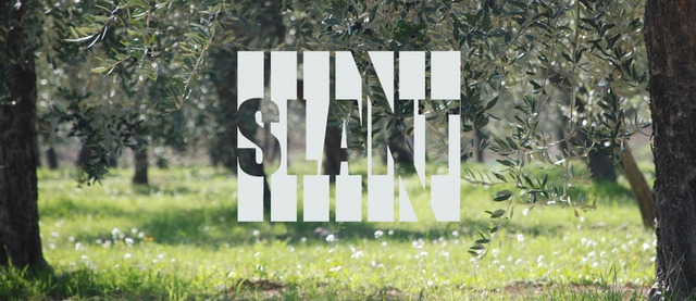 Slant Competition 2013: 'Evoking Memories' - Featured Image