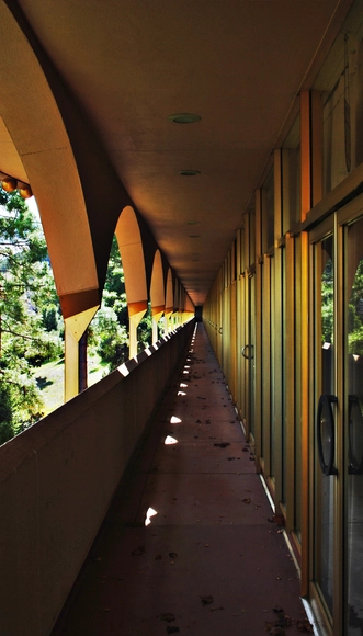 AD Classics: Marin Civic Center / Frank Lloyd Wright - Government , Door, Handrail, Facade, Arch, Column