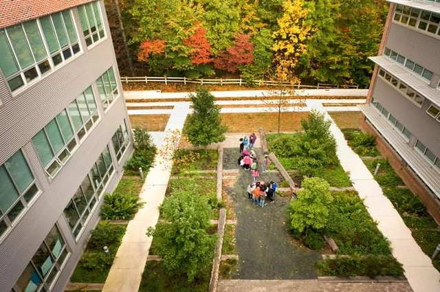 Green Schools Exhibition - Featured Image
