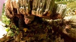 Two Films at the National Building Museum During the Environmental Film Festival in the Nation's Capital - Featured Image