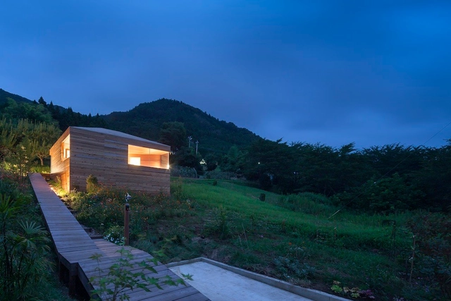 Skyward House / acaa - Casas