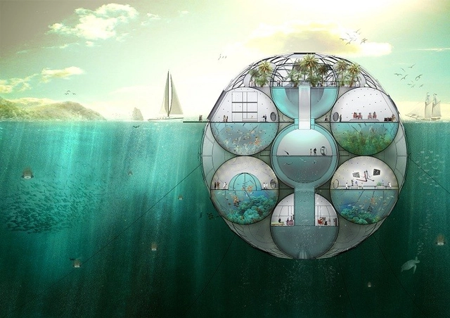 Bloom: Granja flotante de fitoplancton absorbe dióxido de carbono y permite monitorear los niveles del mar - Imagen Principal