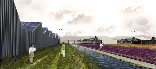 Ganador XXVI Concurso CAP 2012: Colegio Agrario Intercomunal - Escuelas