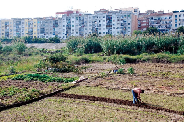 “A Cidade Aposentada”: Hortas urbanas geridas por aposentados - Imagem de Destaque