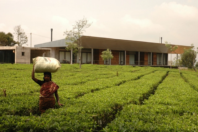 Vivienda en un Jardín de Té / RMA Architects - Casas