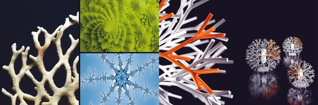 Conferencia Design follows Nature. Reflexiones sobre biomimética, diseño y arquitectura / Barcelona - Imagen Principal