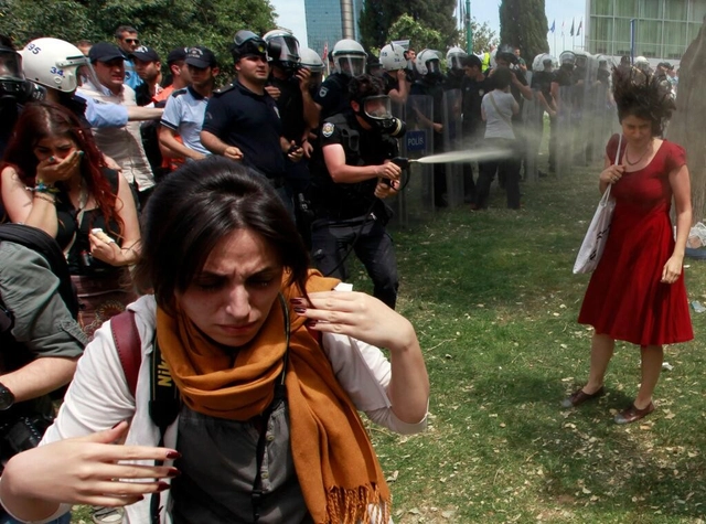 Istambul: O grande protesto para salvar o último parque público da cidade - Imagem de Destaque