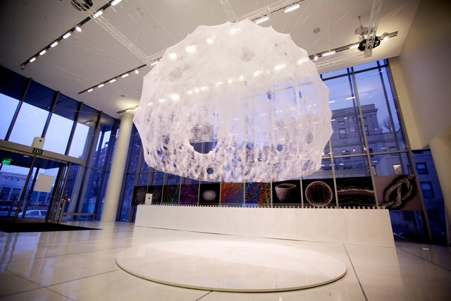 'Pabellón de Seda' / MIT Media Lab - Imagen Principal